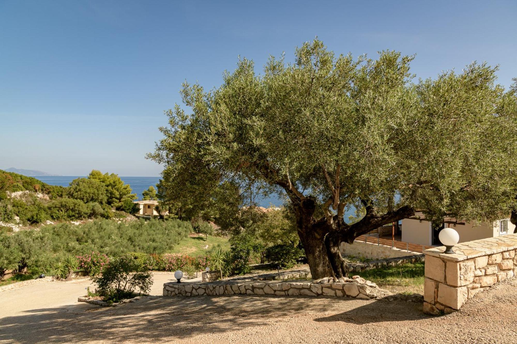 Villa Mare Studios Skinária Eksteriør billede